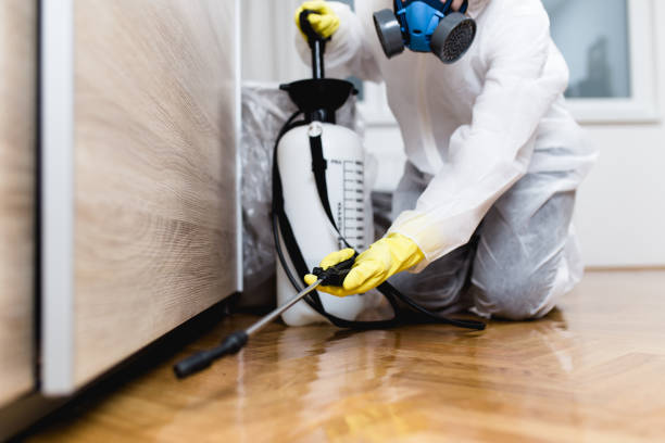 Flea Control Services in Hewlett Harbor, NY