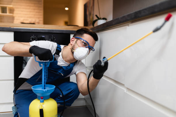 Best Pest Control for Homes  in Hewlett Harbor, NY