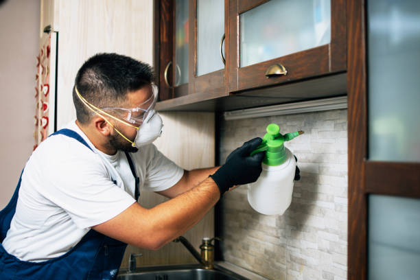 Best Pest Prevention Services  in Hewlett Harbor, NY