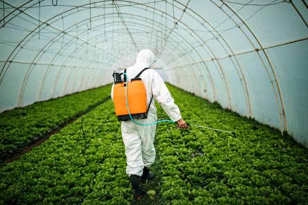 Pest Prevention Services in Hewlett Harbor, NY