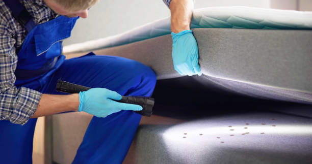 Best Flea Control Services  in Hewlett Harbor, NY